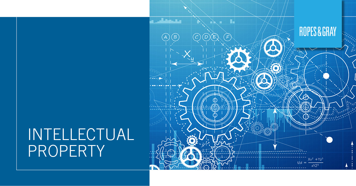 IP Litigator Examines Federal Circuit Ruling on Constitutionality of