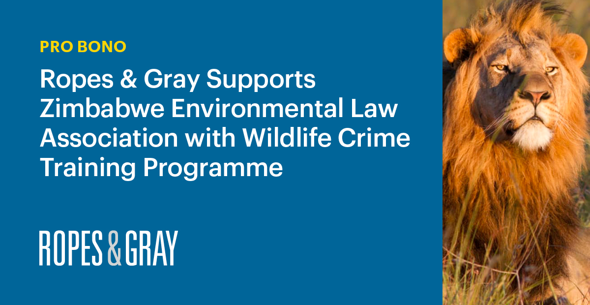 Ropes & Gray Supports Pro Bono Client Zimbabwe Environmental Law