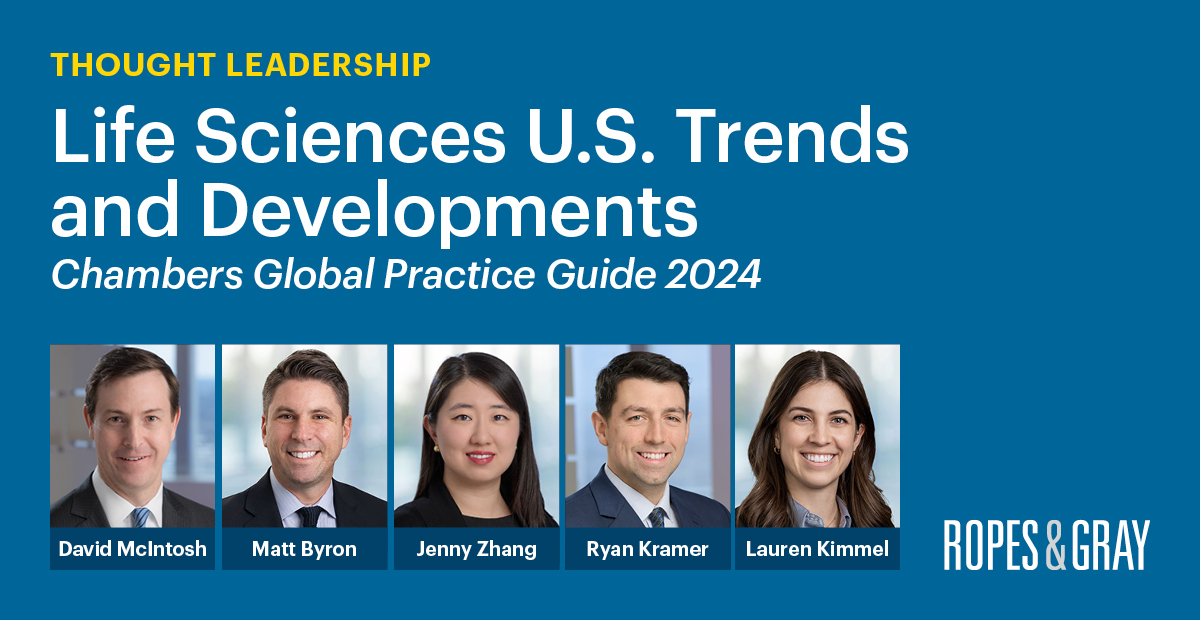 Attorneys Author Chambers Global Practice Guide 2024 Chapter on Life