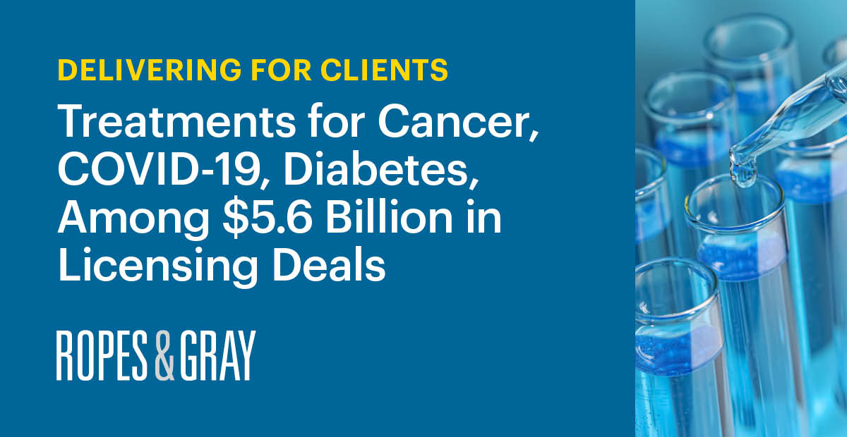 For the World’s Most Innovative Companies, Ropes & Gray Guides 5.6