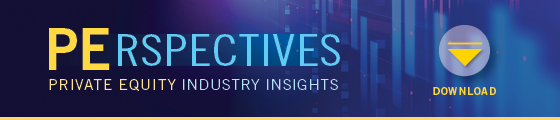 PE Industry Insights