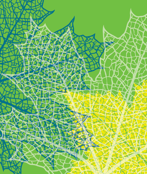 ESG, CSR and Business and Human Rights Services & Industries Ropes